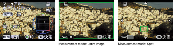 Manual white-balance control makes measurement and setting of white balance simple and effortless