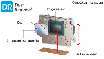 Dust Removal System