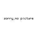 sorry, no picture