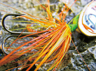 Macro Mode to Capture Close-up Images from a Distance of 1cm