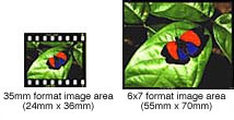 Ideal image proportions to avoid unnecessary cropping