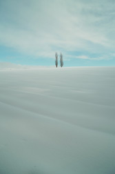 sample_22