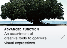 ADVANCED FUNCTION An assortment of creative tools to optimize visual expressions