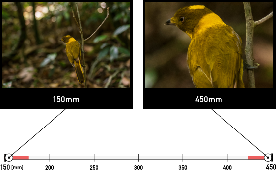 Focal length