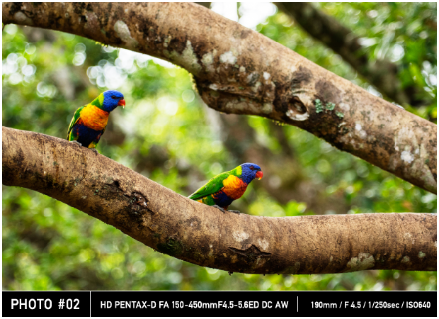 Actual Images 190mm / F4.5 / 1/250sec / ISO640