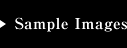 Sample Images