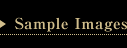 Sample Images