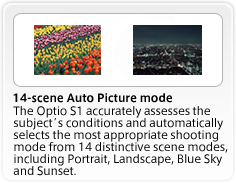 14-scene Auto Picture mode