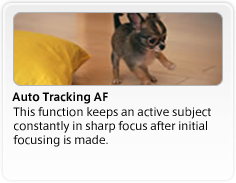 Auto Tracking AF