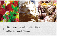 Rich range of distinctive effects and filters