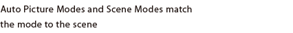 Auto Picture Modes and Scene Modes match the mode to the scene