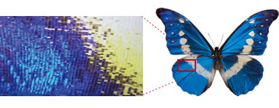 New-generation Digital Microscope mode for close observation of the microscopic world