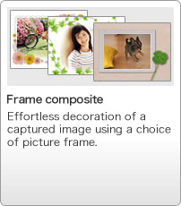 Frame composite