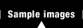 Sample images