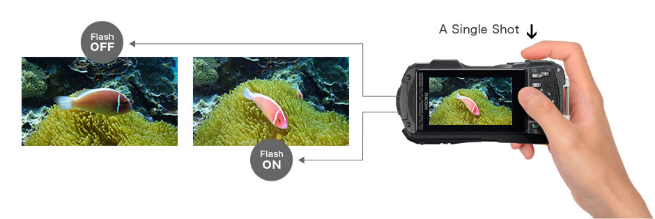 Feature | WG-50 | RICOH IMAGING Feature | WG-50 | RICOH IMAGING