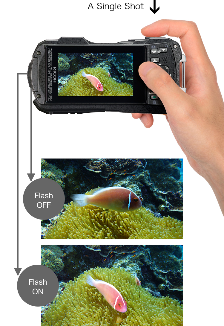 Feature | WG-50 | RICOH IMAGING Feature | WG-50 | RICOH IMAGING