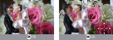 Expand your creativity: 1cm macro photography with AF Target Selection produces beautiful blurring effects.