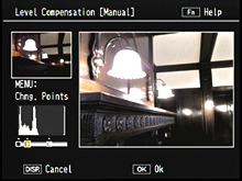 Correction can be done by moving the position of the points under the histogram.