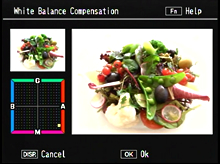 Correction can be done by moving the position of the point on the white balance compensation map. 