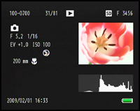 Histogram and Detailed Information Display