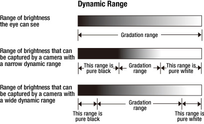 Dynamic Range