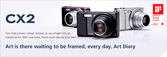 Products & Solutions / CX2 | Ricoh Global