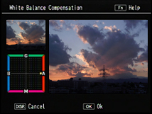 White balance compensation