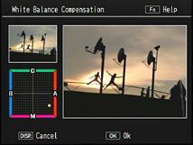 White balance compensation