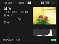 Histogram and detailed information display