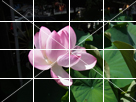 Grid guide display 