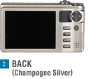 BACK(Champagne Silver)