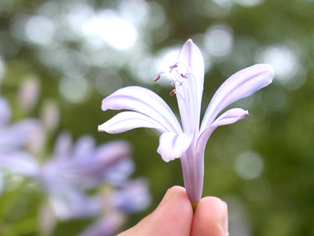 Even when shooting with one hand, the likelihood of blur is low.