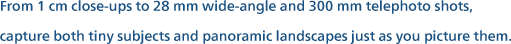 From 1 cm close-ups to 28 mm wide-angle and 300 mm telephoto shots, capture both tiny subjects and panoramic landscapes just as you picture them.
