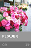 sample_09