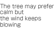 The tree may prefer calm but the wind keeps blowing