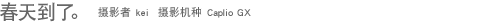 ���쵽�ˡ� ��Ӱ�� kei ��Ӱ���� Caplio GX 