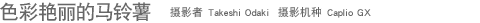 ɫ�������������� ��Ӱ�� Takeshi Odaki ��Ӱ���� Caplio GX 