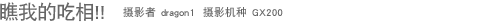 ���ҵĳ���!! ��Ӱ�� dragon1 ��Ӱ���� GX200 