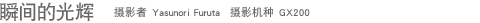 ˲��Ĺ�� ��Ӱ�� Yasunori Furuta ��Ӱ���� GX200 