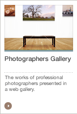 Photographers Gallery The works of professional photographers presented in a web gallery.