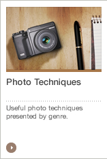 Photo Techniques Useful photo techniques presented by genre.