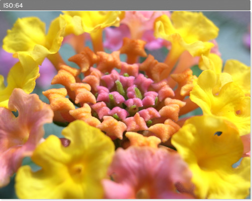 ISO Image Samples