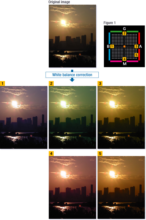 Using White Balance Correction