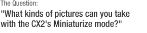 The Question:"What kinds of pictures can you take with the CX2's Miniaturize mode?"