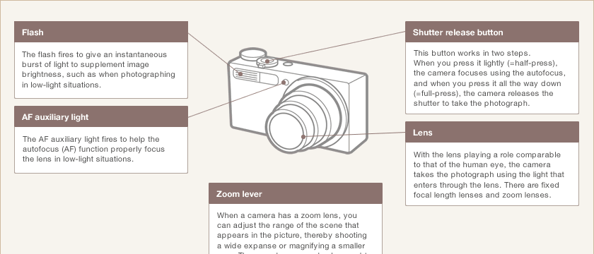What Is A Digital Camera And How Does It Work Infoupdate What Is A Digital Camera And How Does It Work Infoupdate