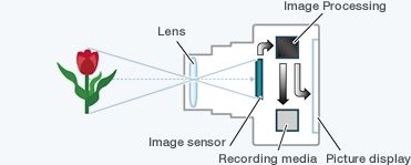 Digital camera