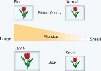 Relationships between picture quality, size (no. of pixels), and file size