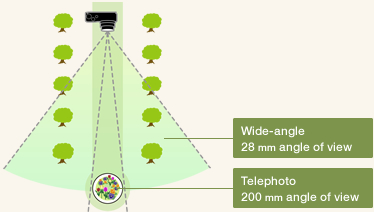 Focal length and angle of view