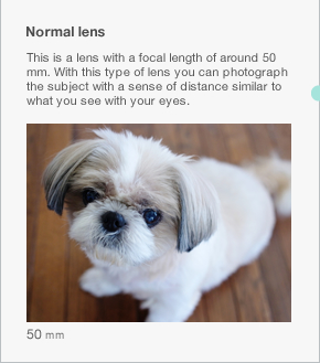 Normal lens This is a lens with a focal length of around 50 mm. With this type of lens you can photograph the subject with a sense of distance similar to what you see with your eyes.