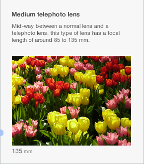 Medium telephoto lens Mid-way between a normal lens and a telephoto lens, this type of lens has a focal length of around 85 to 135 mm.